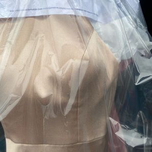 Jenny yoo gown size 6